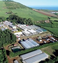 station armeflhor