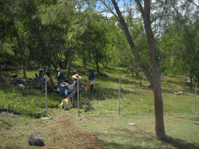 Restoration of community lands by the Rodrigues project.